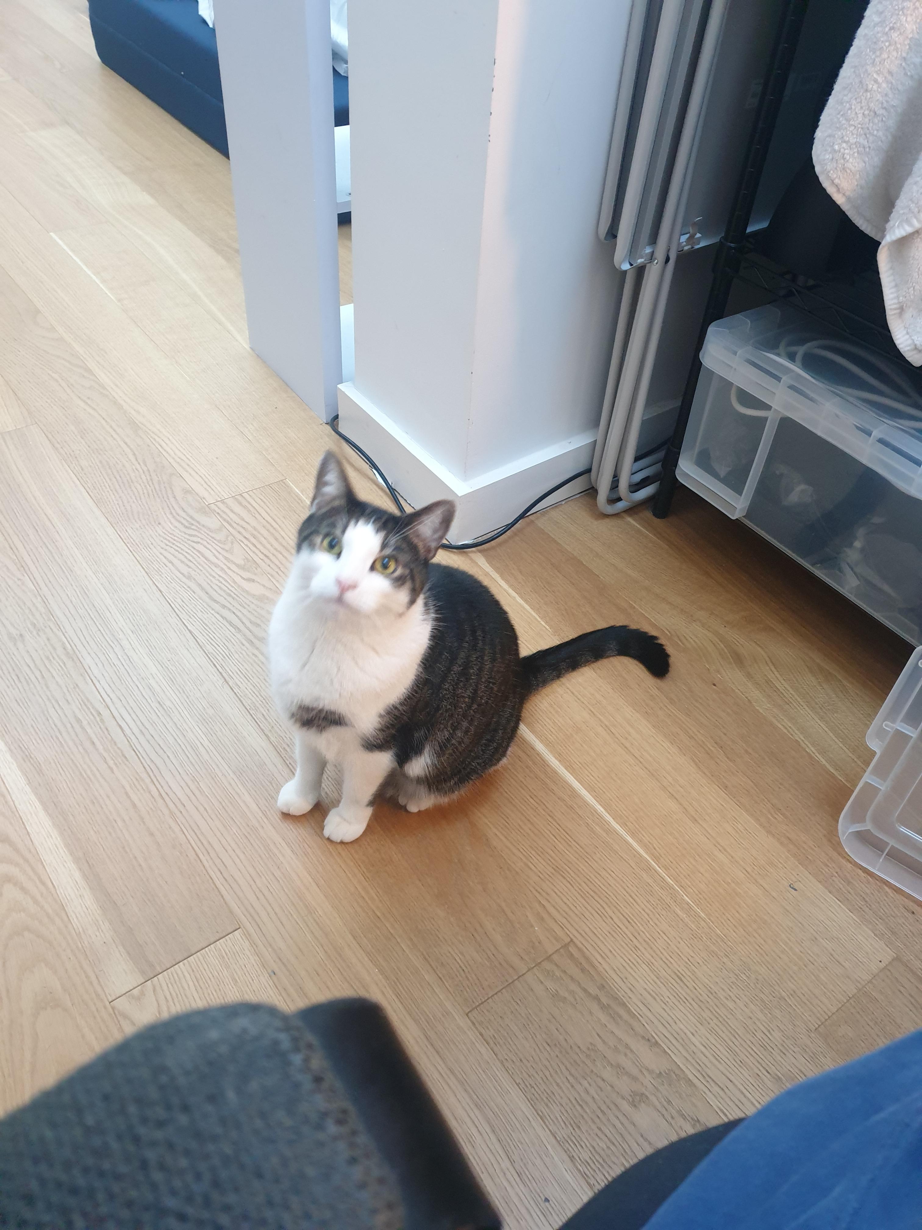 Cover Image for another blog post