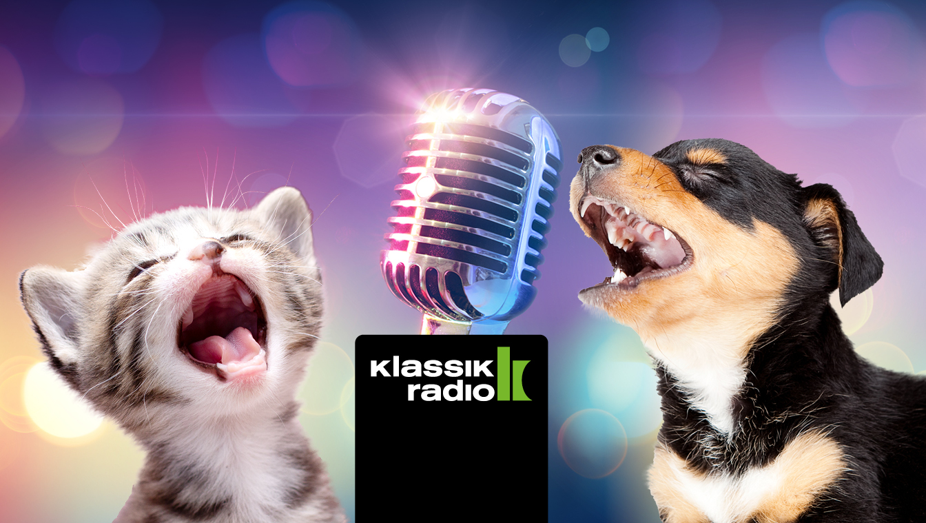 Klassik Radio sucht den Superstar der Haustiere