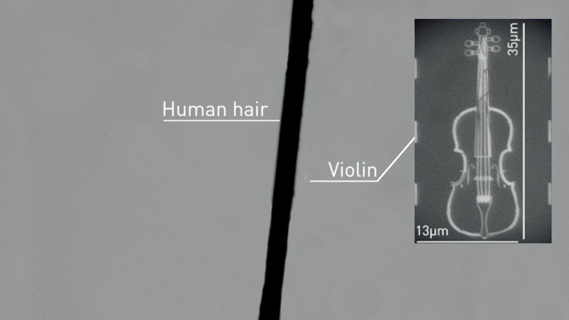 Kleinste Geige der Welt