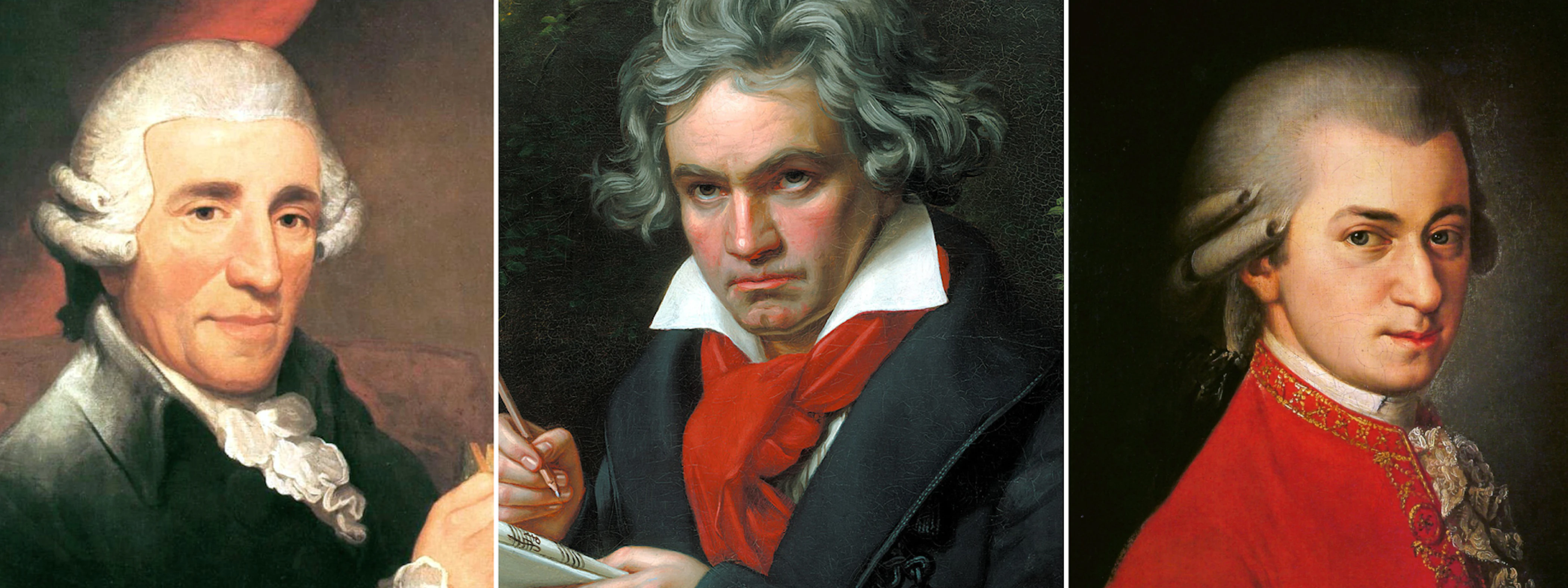 Wiener Klassik Banner