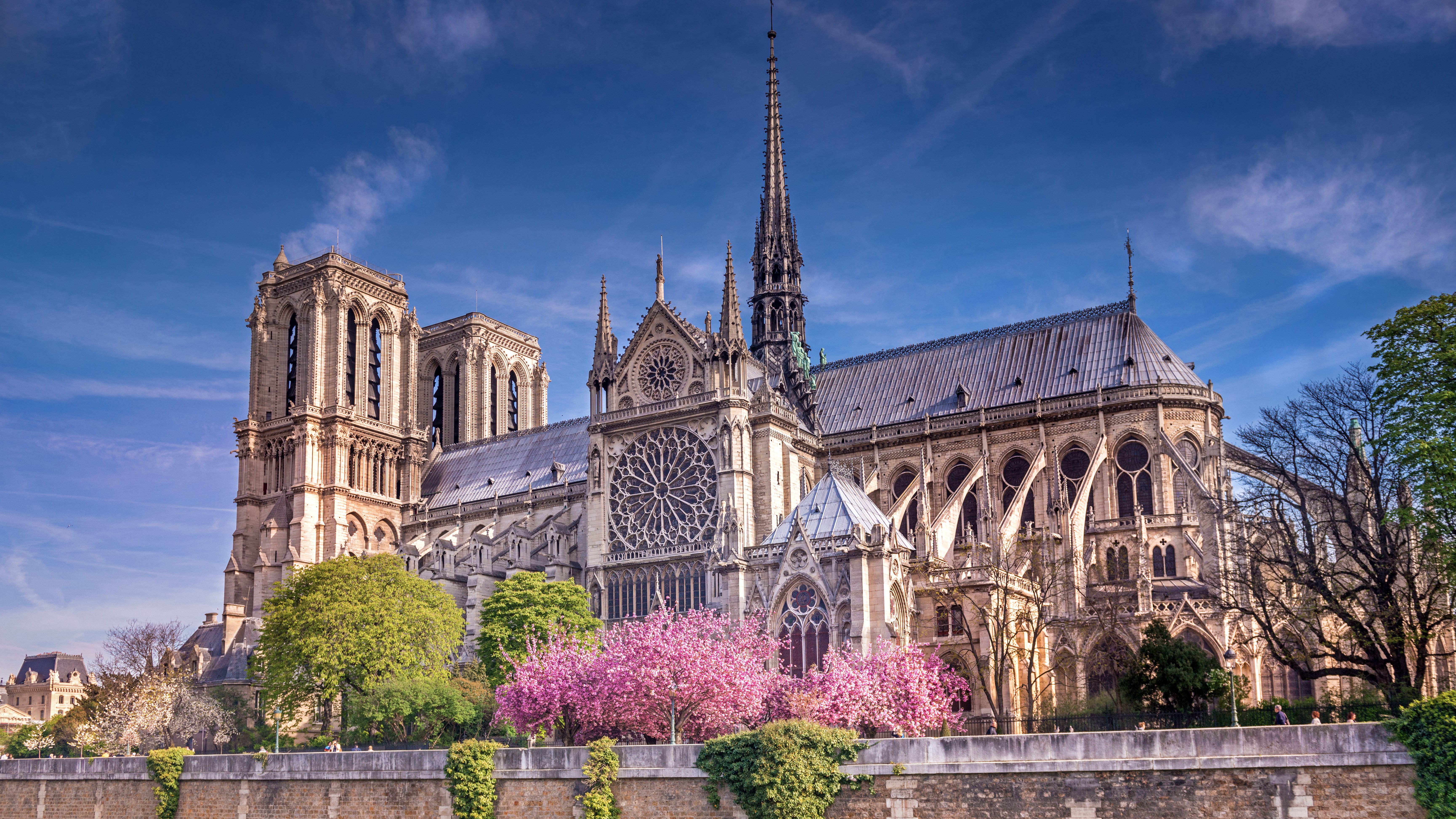 Notre-Dame Paris