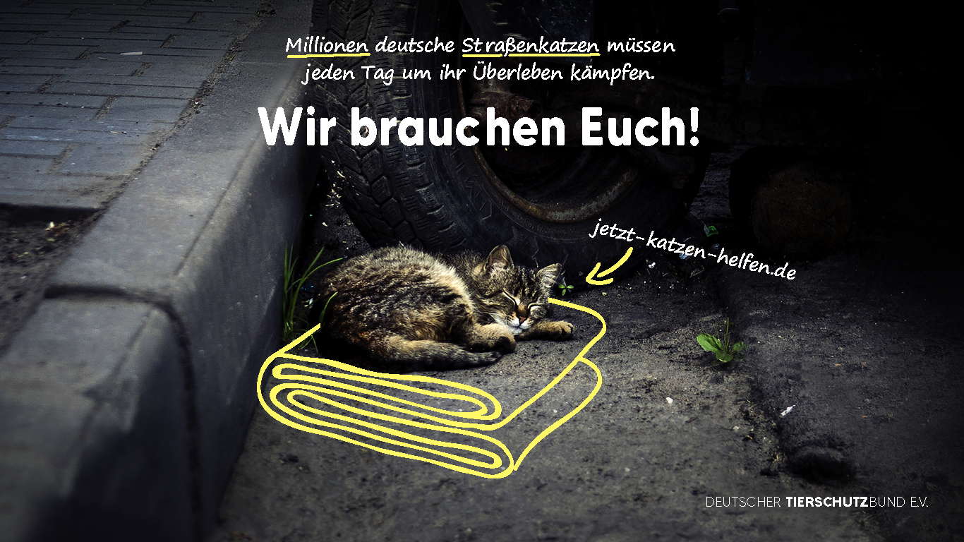 Deutscher Tierschutzbund 1