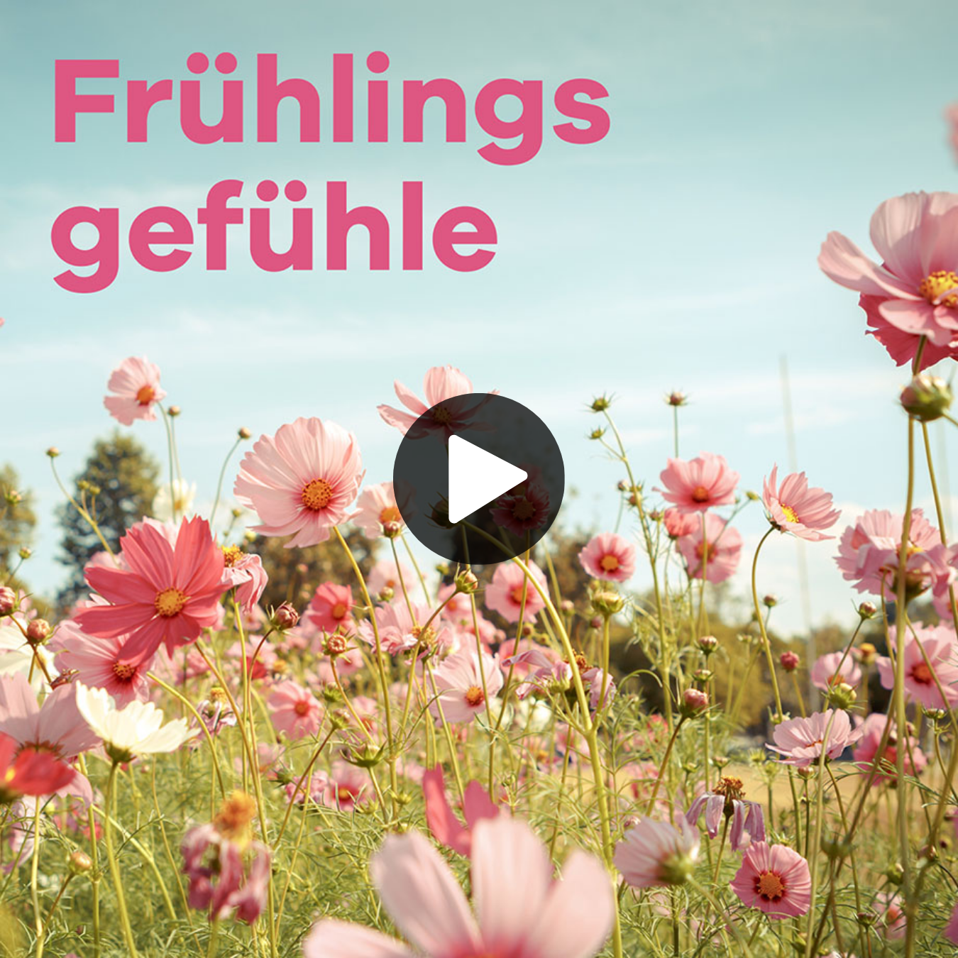Frühlingsgefühle Sender 