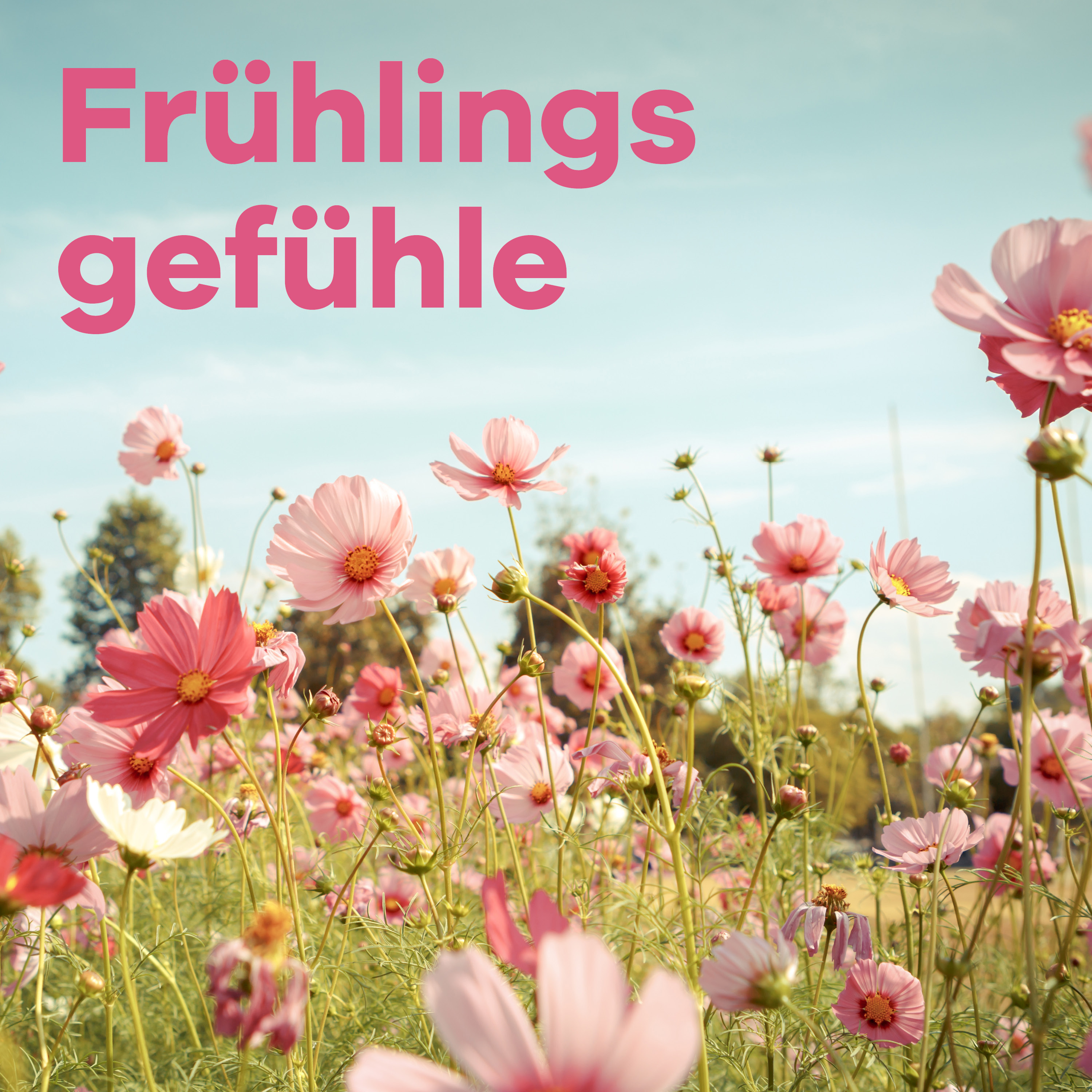 Frühlingsgefühle Sender (Muttertag)