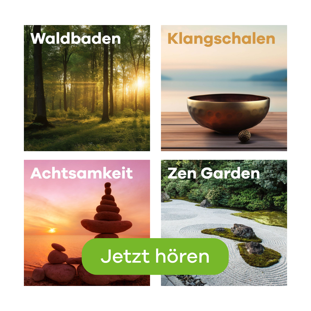 Sender Auswahl Wellness