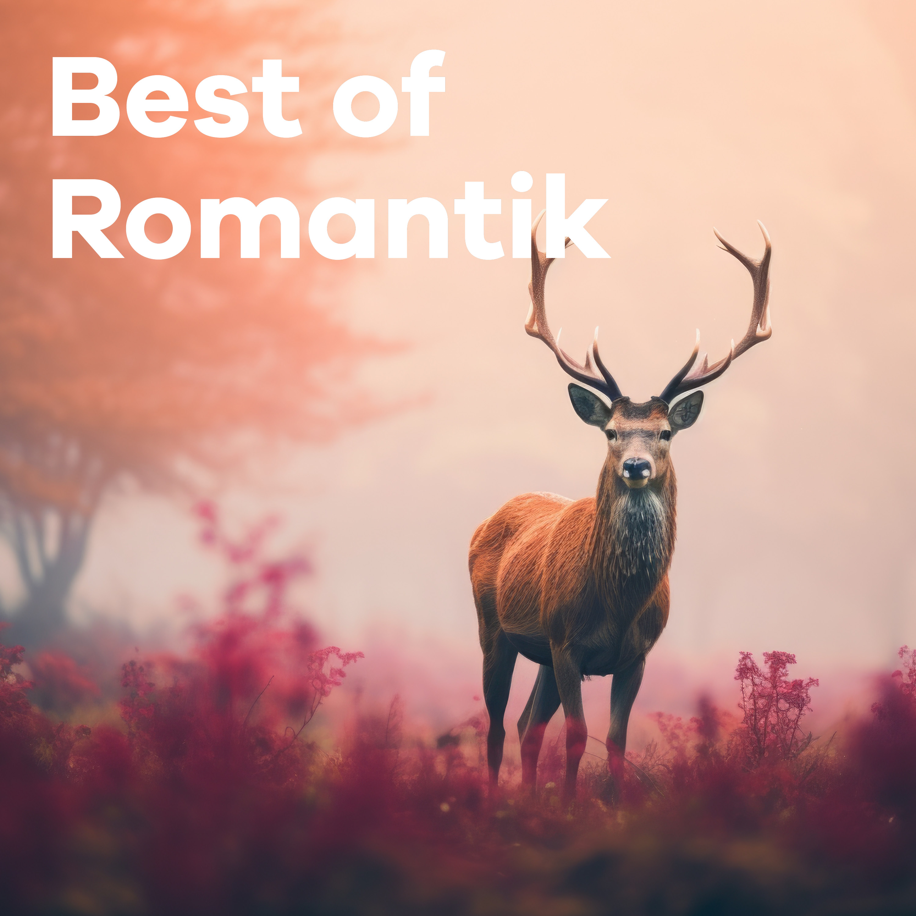 Best of Romantik