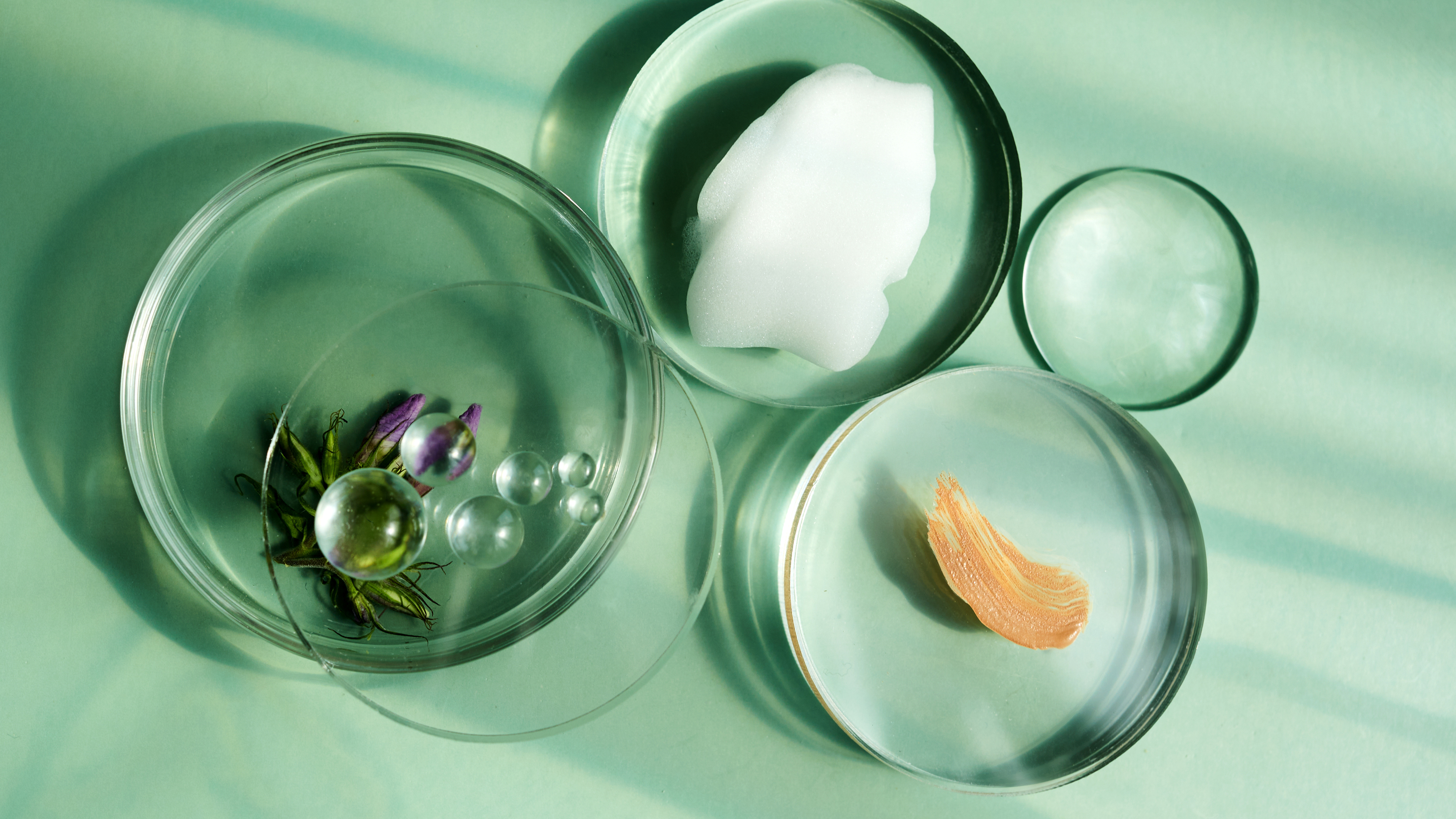 SKJUR DE DE Images Consumer 2023 Themenfeld Expertise & Marke 16zu9 Choice1 150dpi KREISE