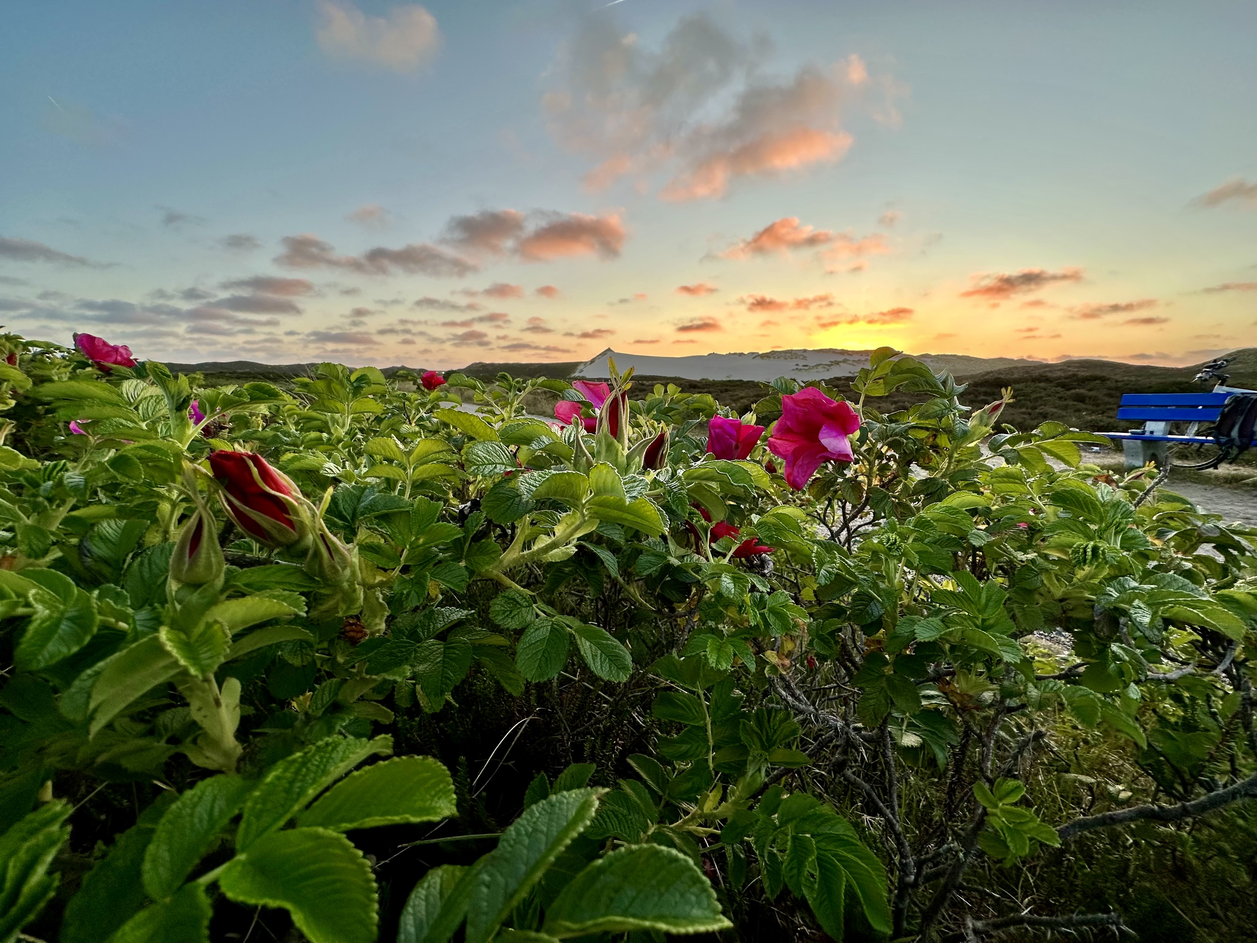 Kurverwaltung List auf Sylt 24 6