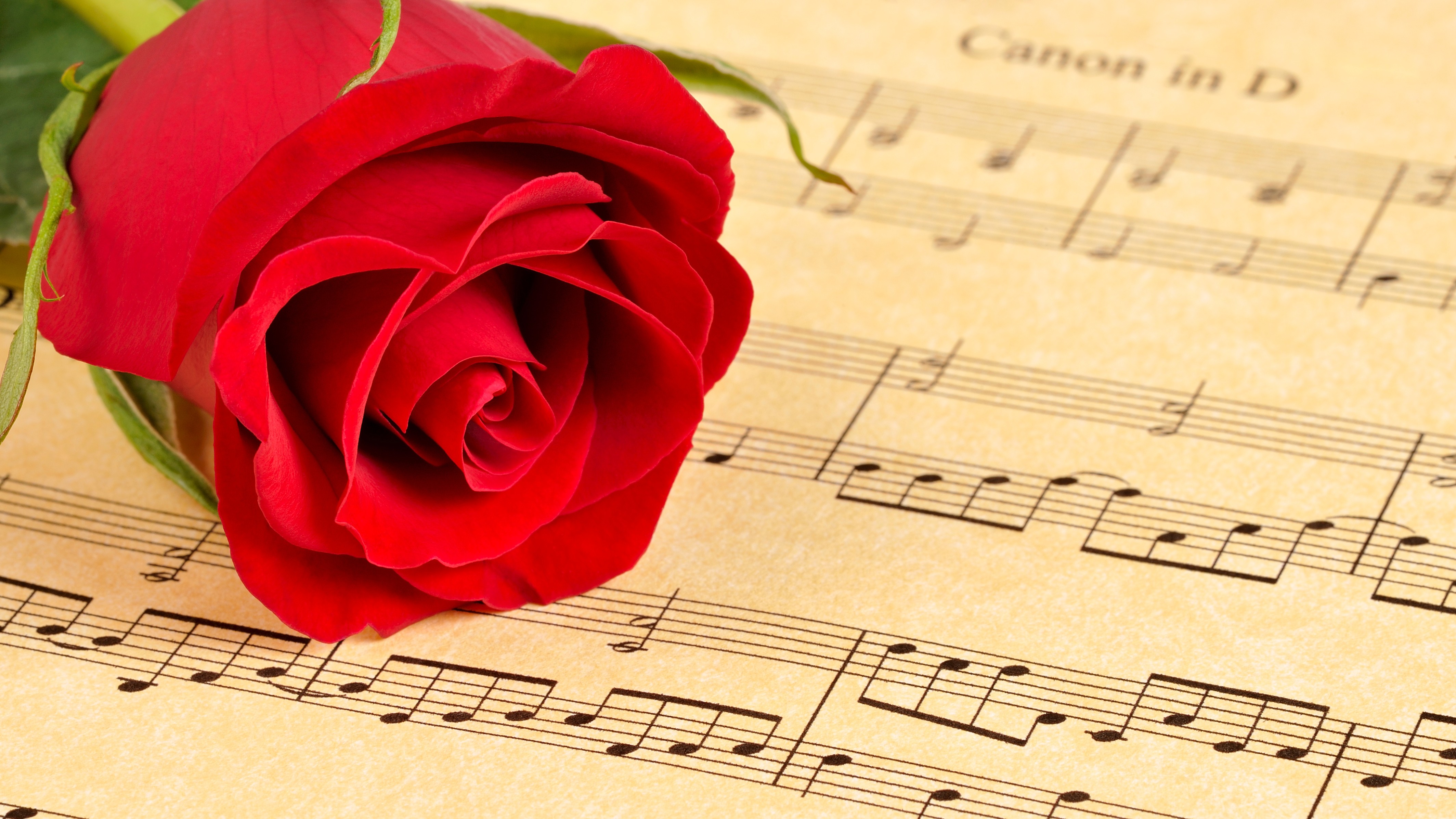 Pachelbels Canon in D-Dur