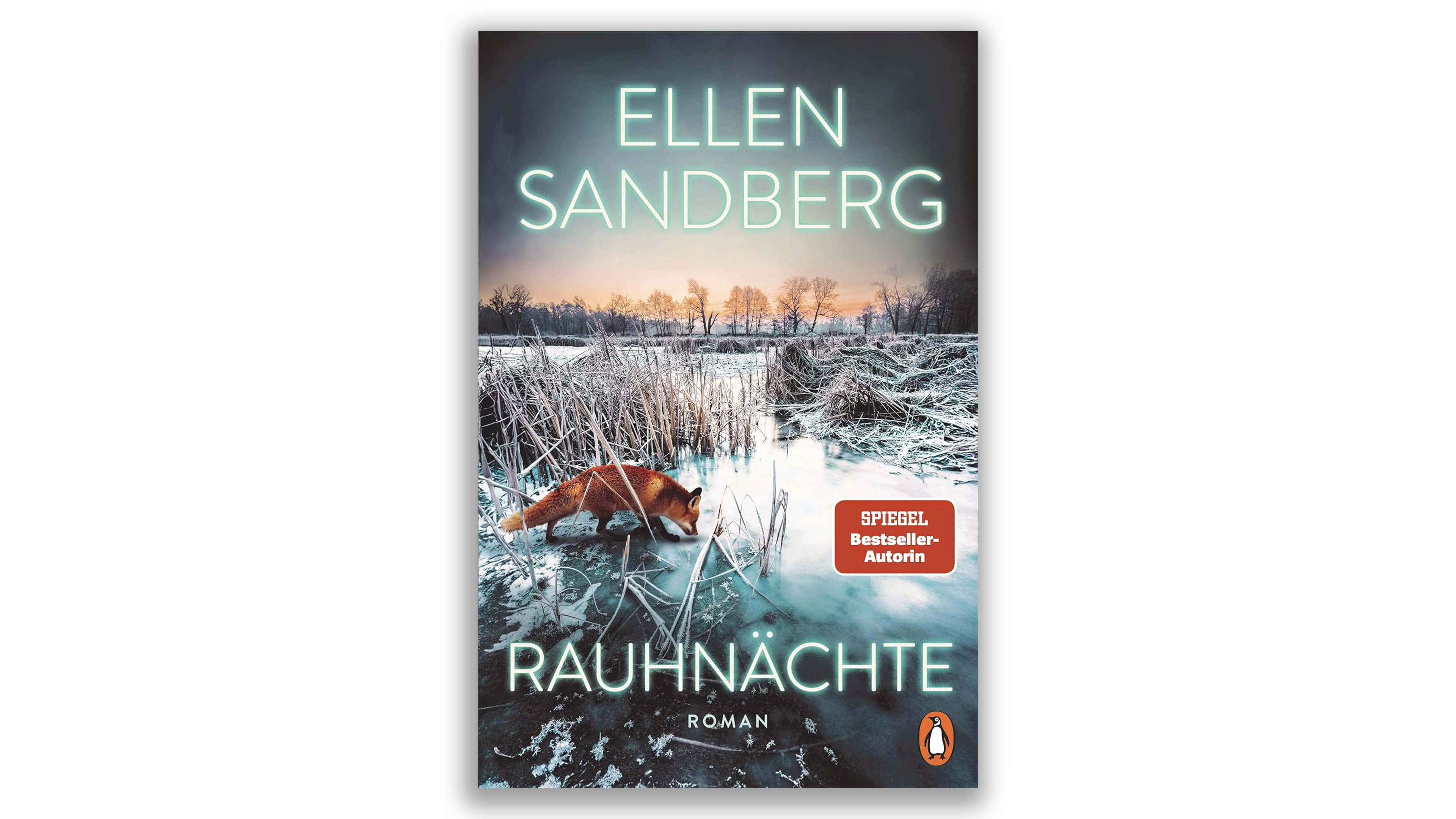 Buchcover "Rauhnächte" von Ellen Sandberg mit Fuchs in winterlicher Landschaft