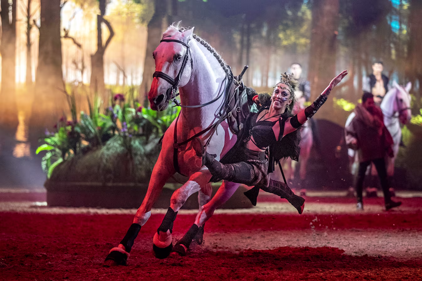 CAVALLUNA – Tor zur Anderswelt Cavalluna 1