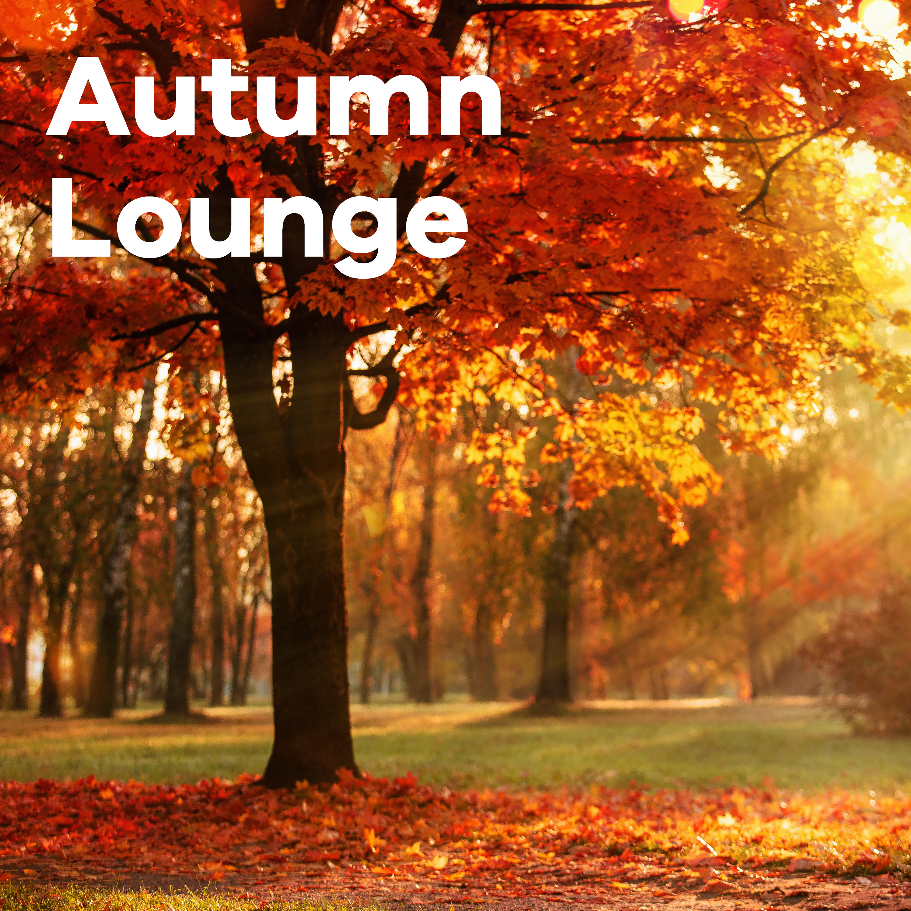 Klassik Radio Plus Sender "Autumn Lounge" mit einem Herbstwald im Hintergrund