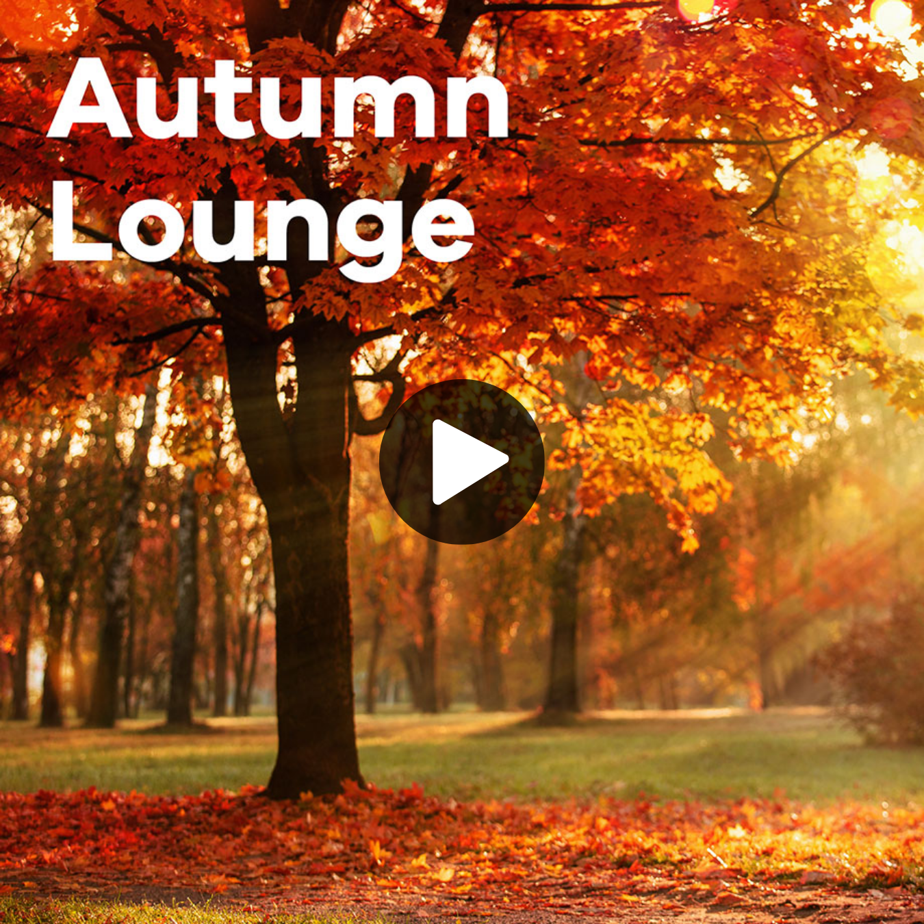 Klassik Radio Plus Sender "Autumn Lounge" mit einem Herbstwald im Hintergrund