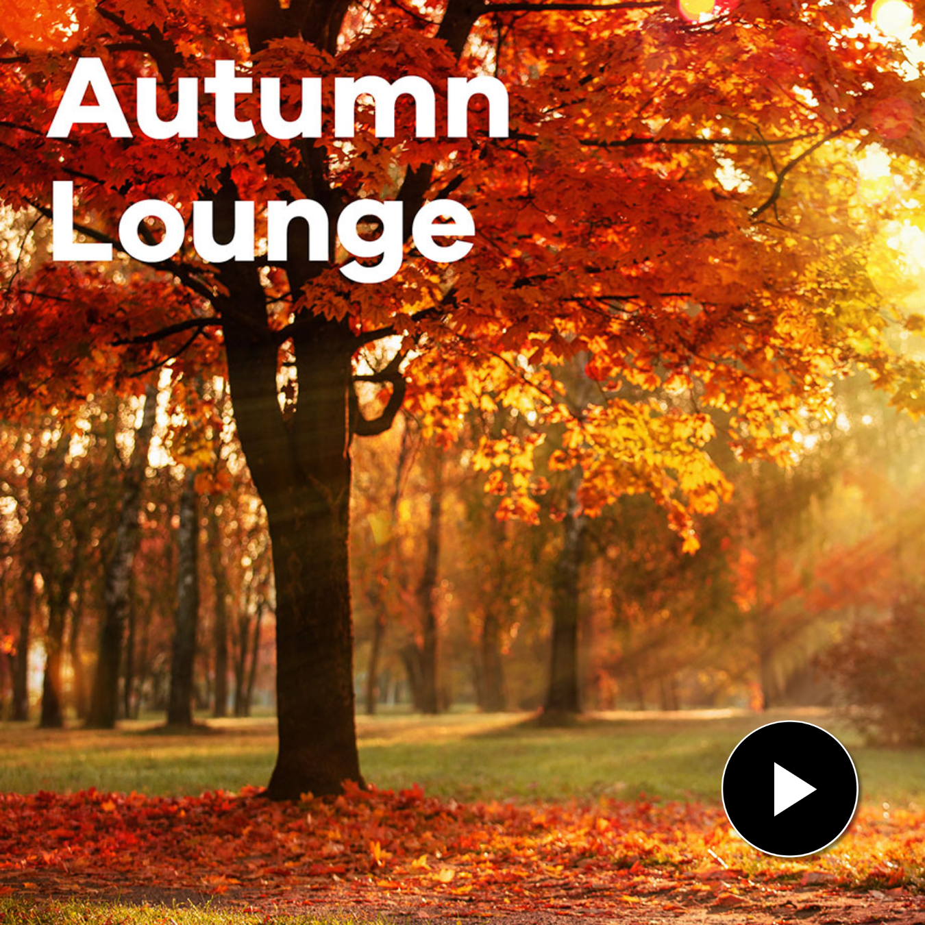 Klassik Radio Plus Sender "Autumn Lounge" mit einem Herbstwald im Hintergrund