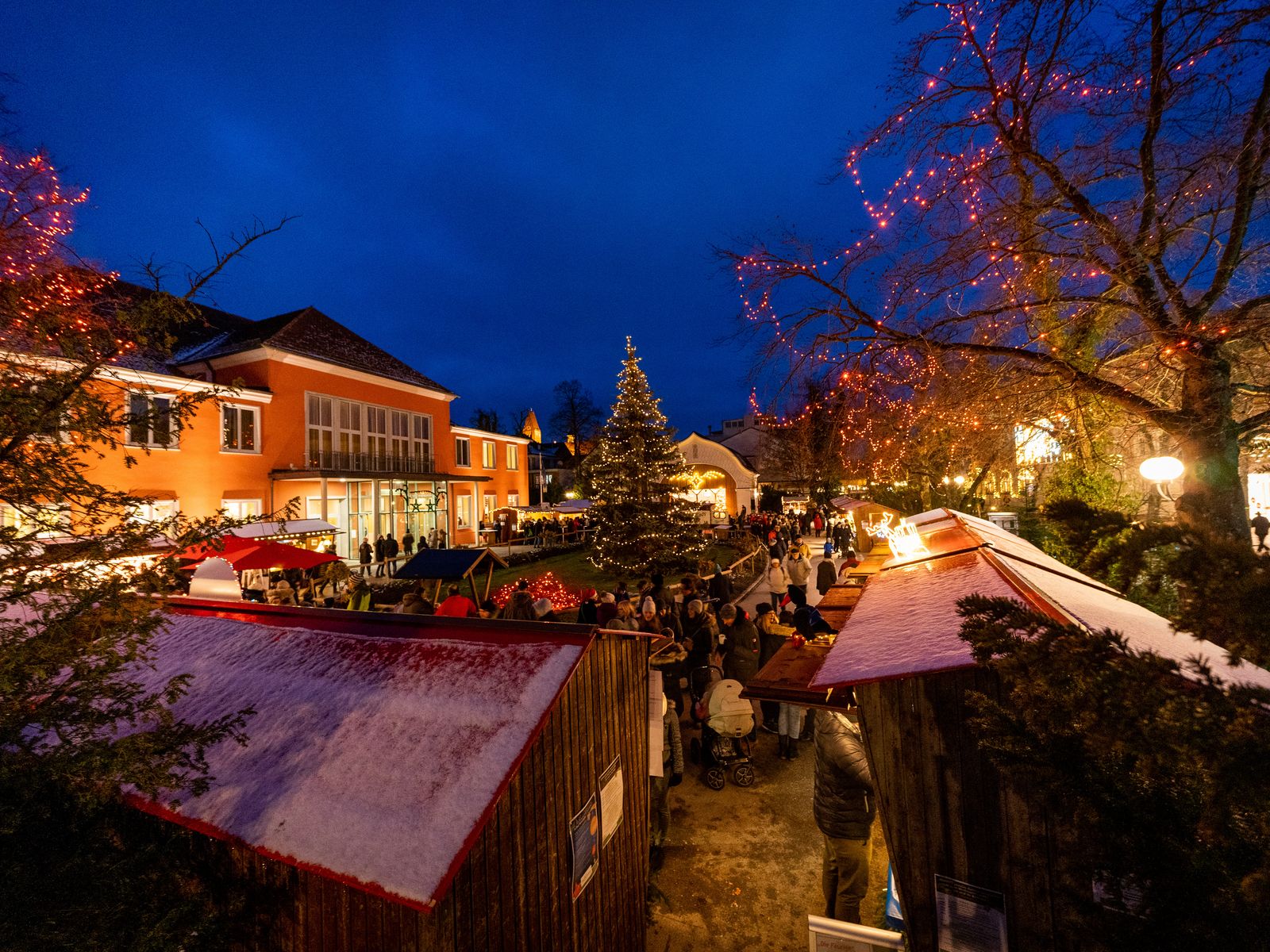 Weihnachtsmarkt am Abend mit beleuchtetem Tannenbaum, festlich geschmückten Buden und vielen Besuchern