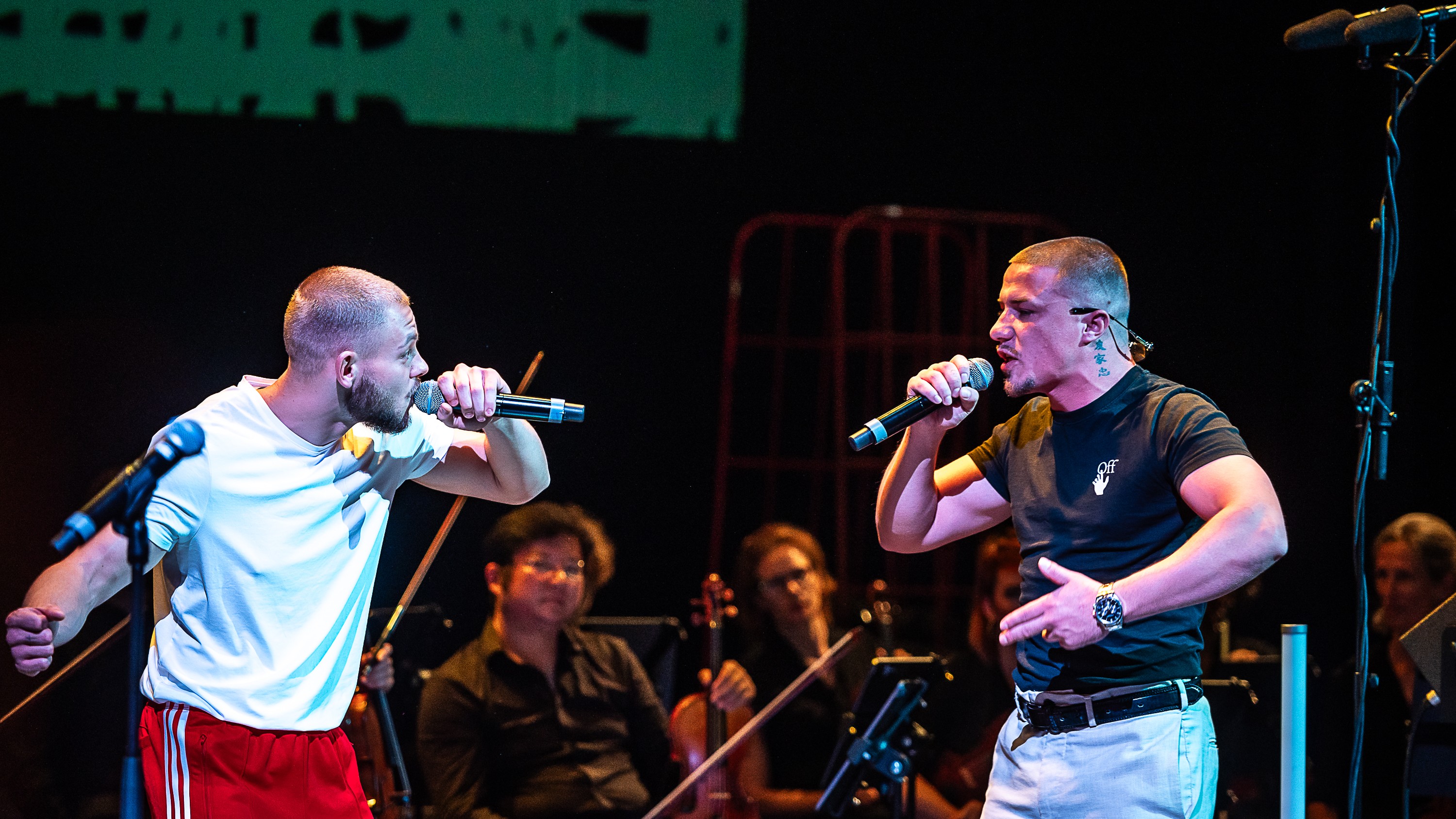 Projekt "Himmel über Adelsheim"