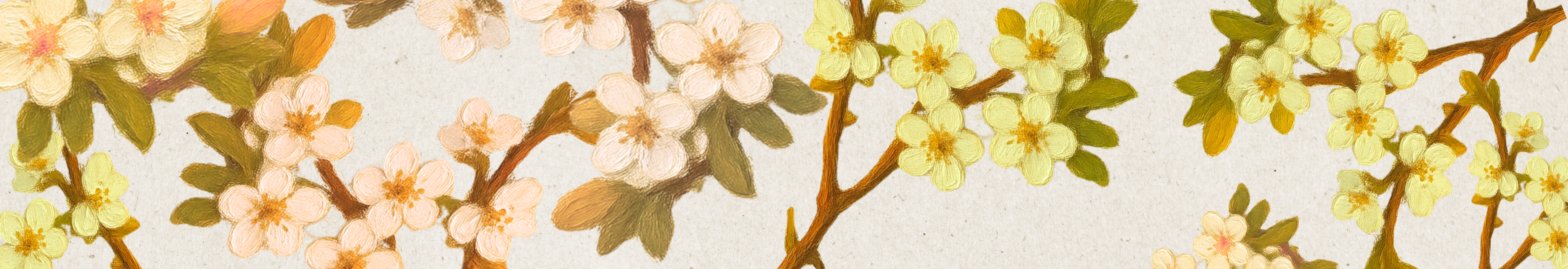 Kirschblüten 