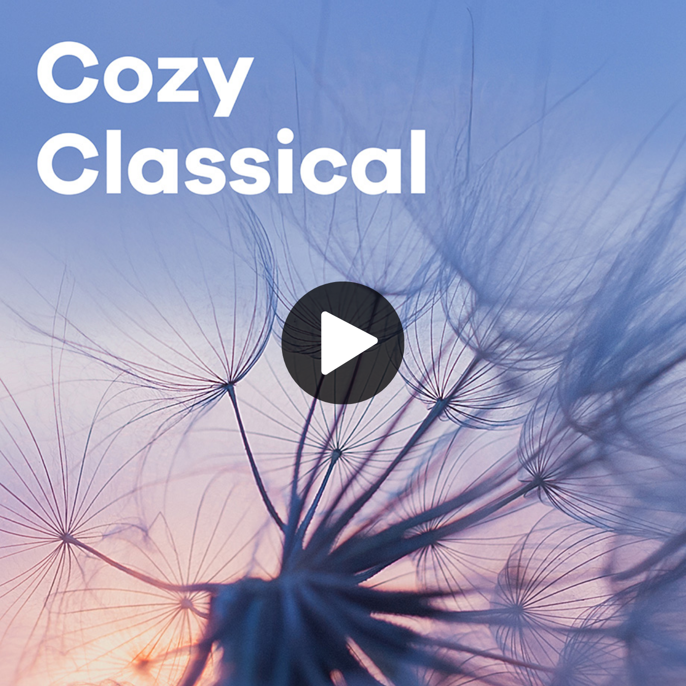 Cozy Classical Sender