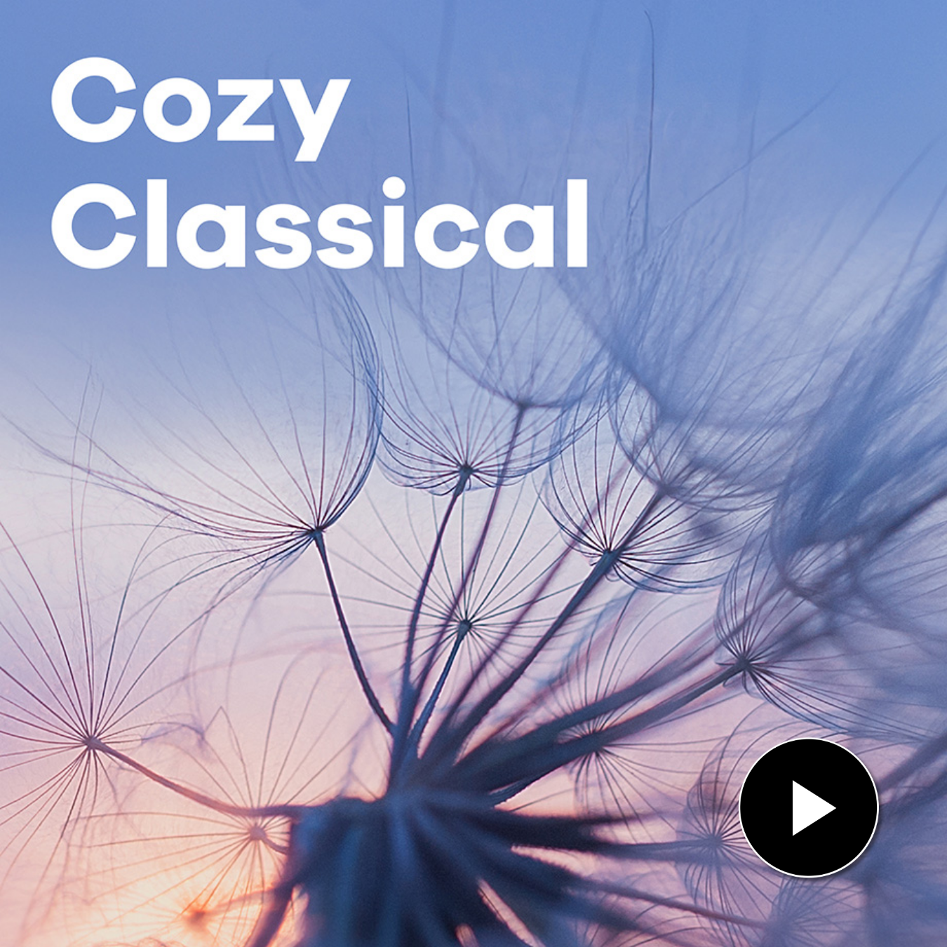 Cozy Classical Sender