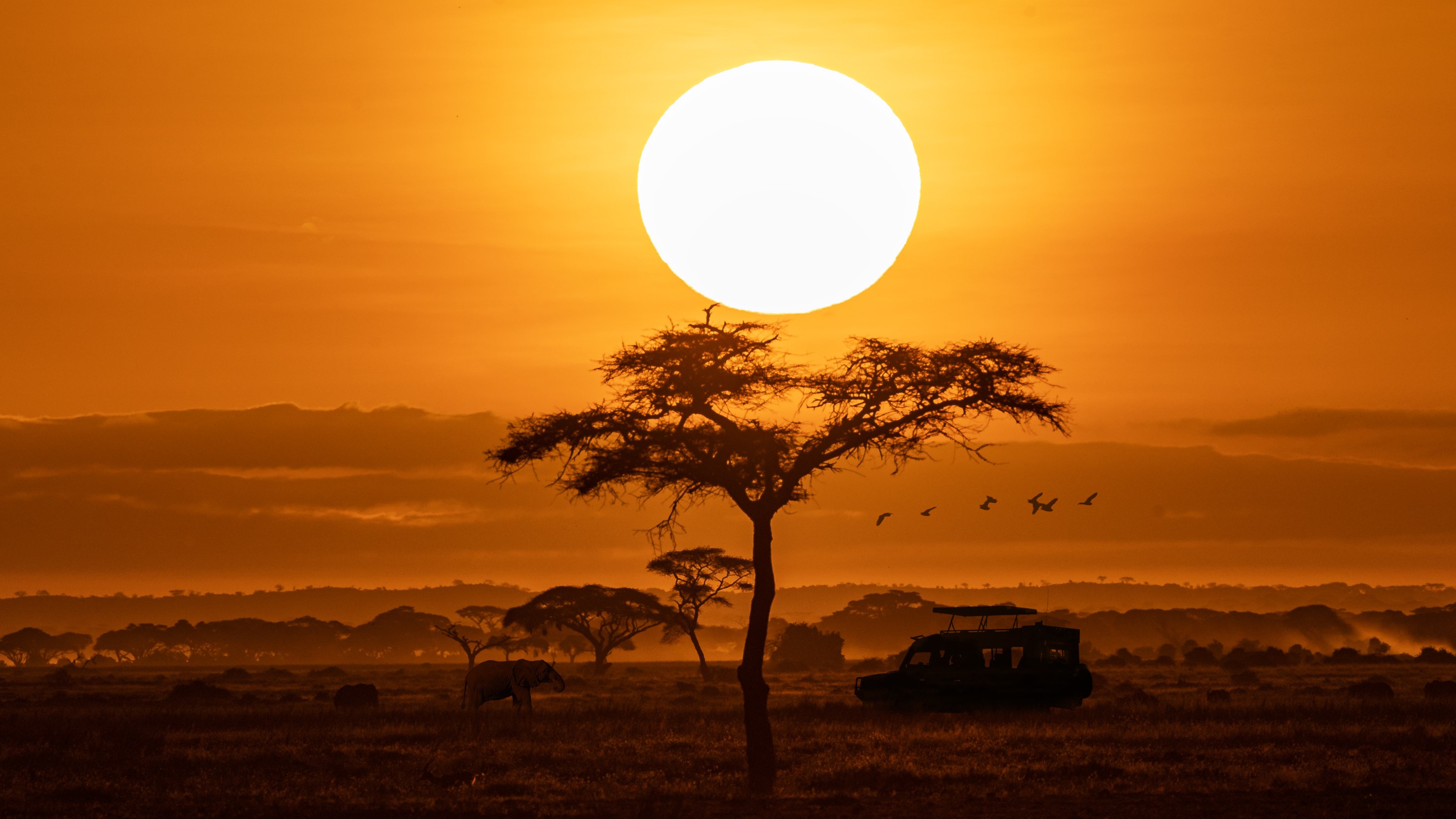 Afrika