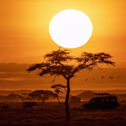 Afrika