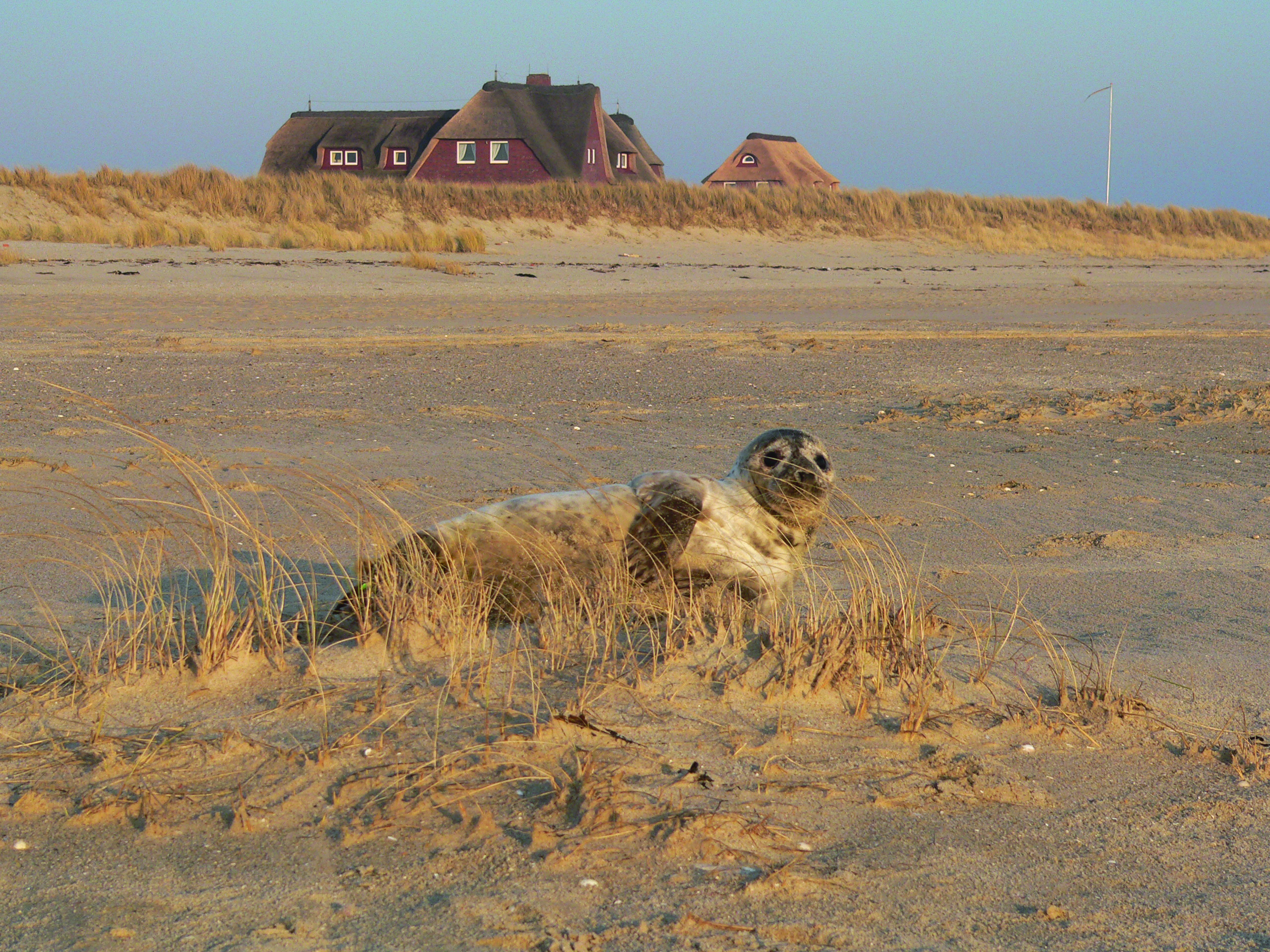 Kurverwaltung List auf Sylt 24 3