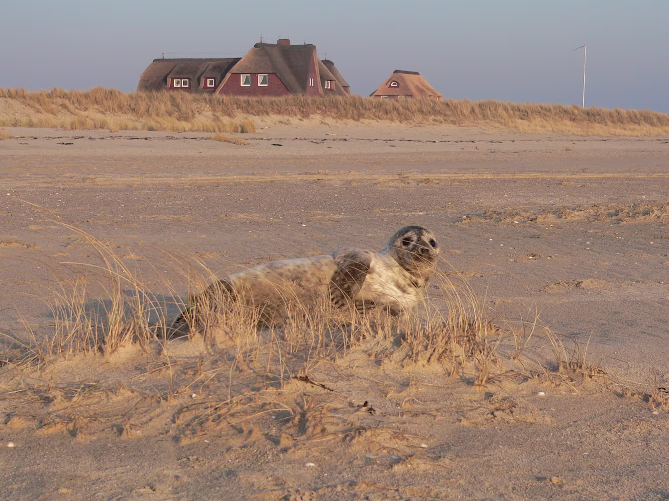 Kurverwaltung List auf Sylt 24 3