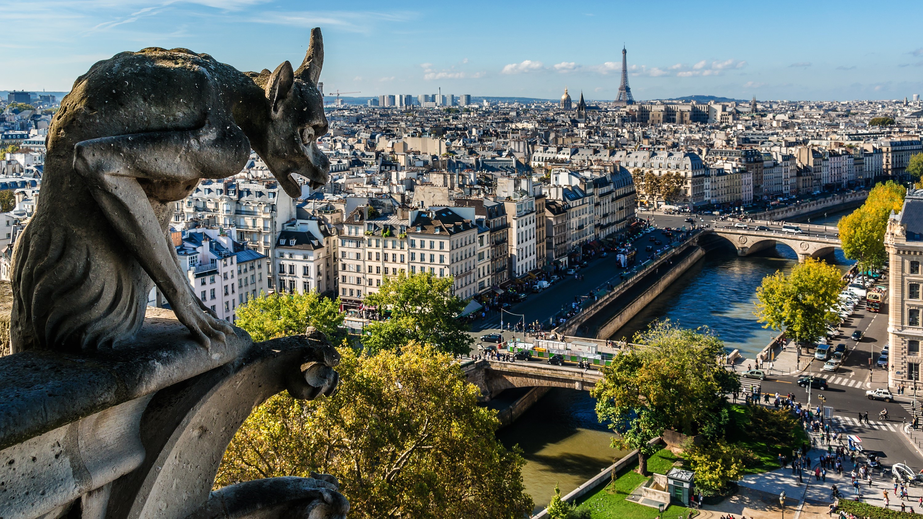 Wasserspeier Notre-Dame