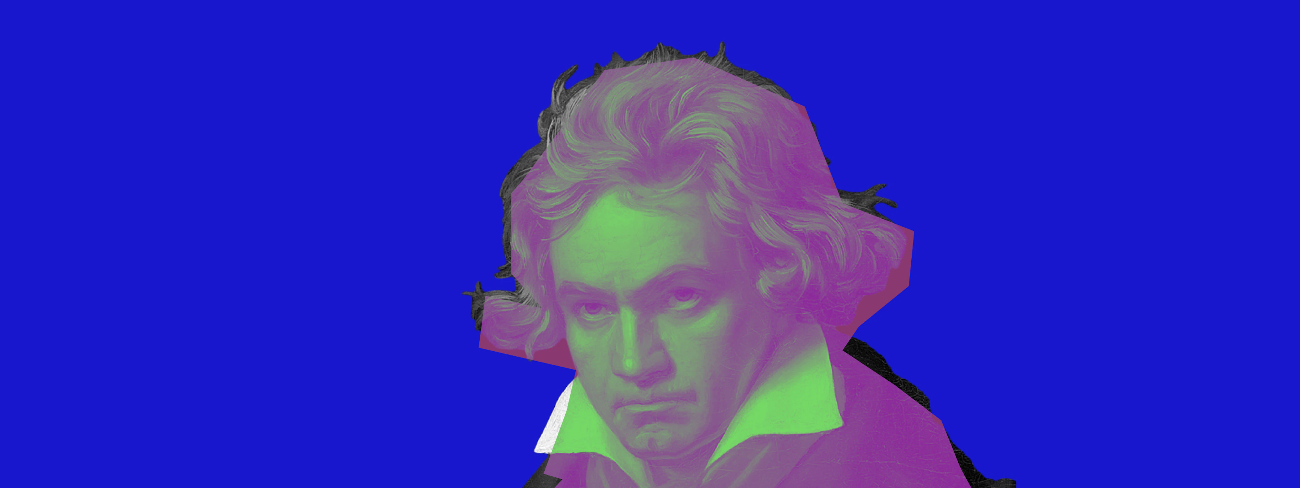Ludwig van Beethoven Banner