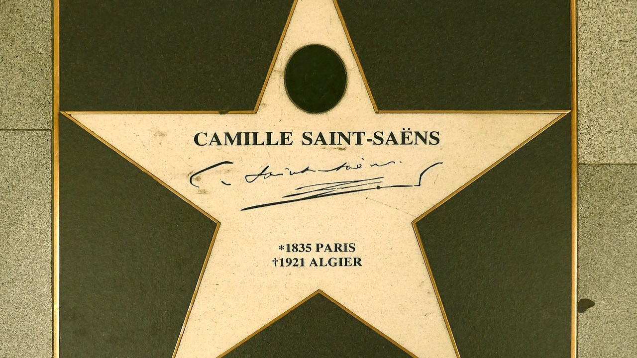 Stern Camille Saint-Saën