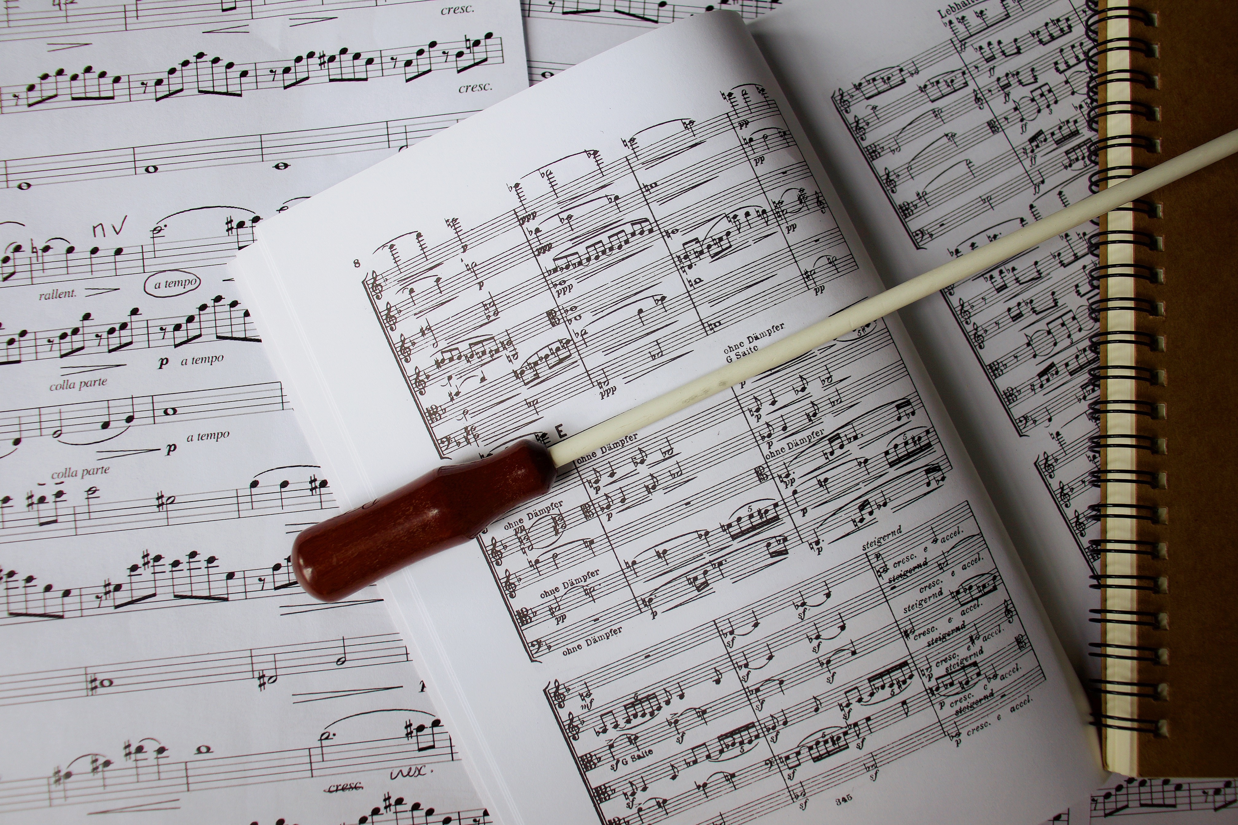 Dirigentenstab auf Noten