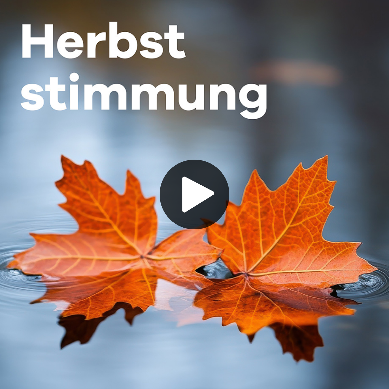 Klassik Radio Plus Sender „Herbststimmung“ mit zwei Herbstblättern im See. 