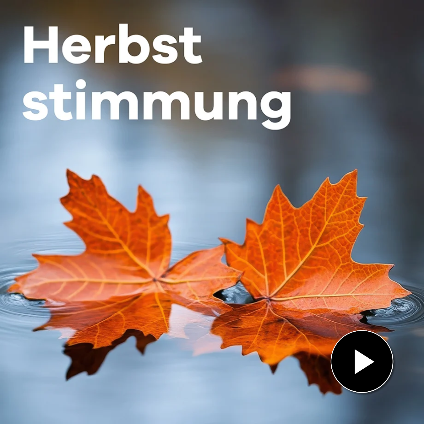 Klassik Radio Plus Sender „Herbststimmung“ mit zwei Herbstblättern im See. 