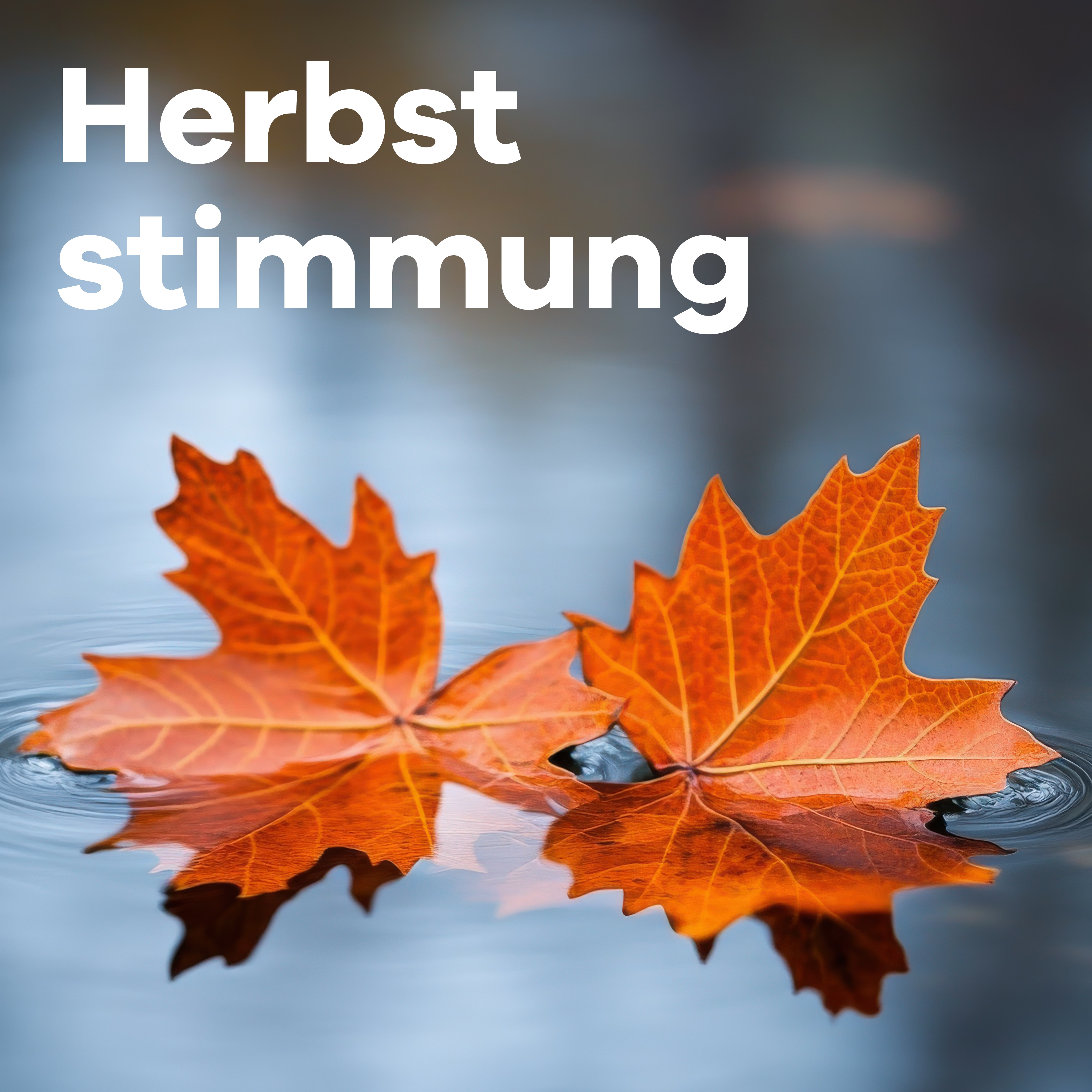Klassik Radio Plus Sender „Herbststimmung“ mit zwei Herbstblättern im See. 