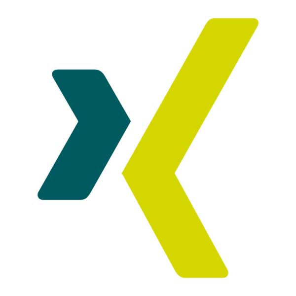 Logo Xing