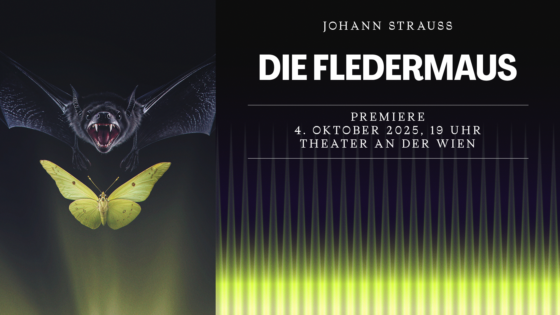 1920x1080 Fledermaus 3