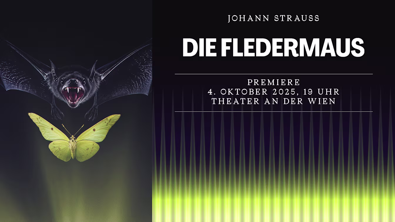 1920x1080 Fledermaus 3