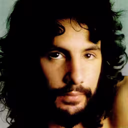 Cat Stevens 1x1