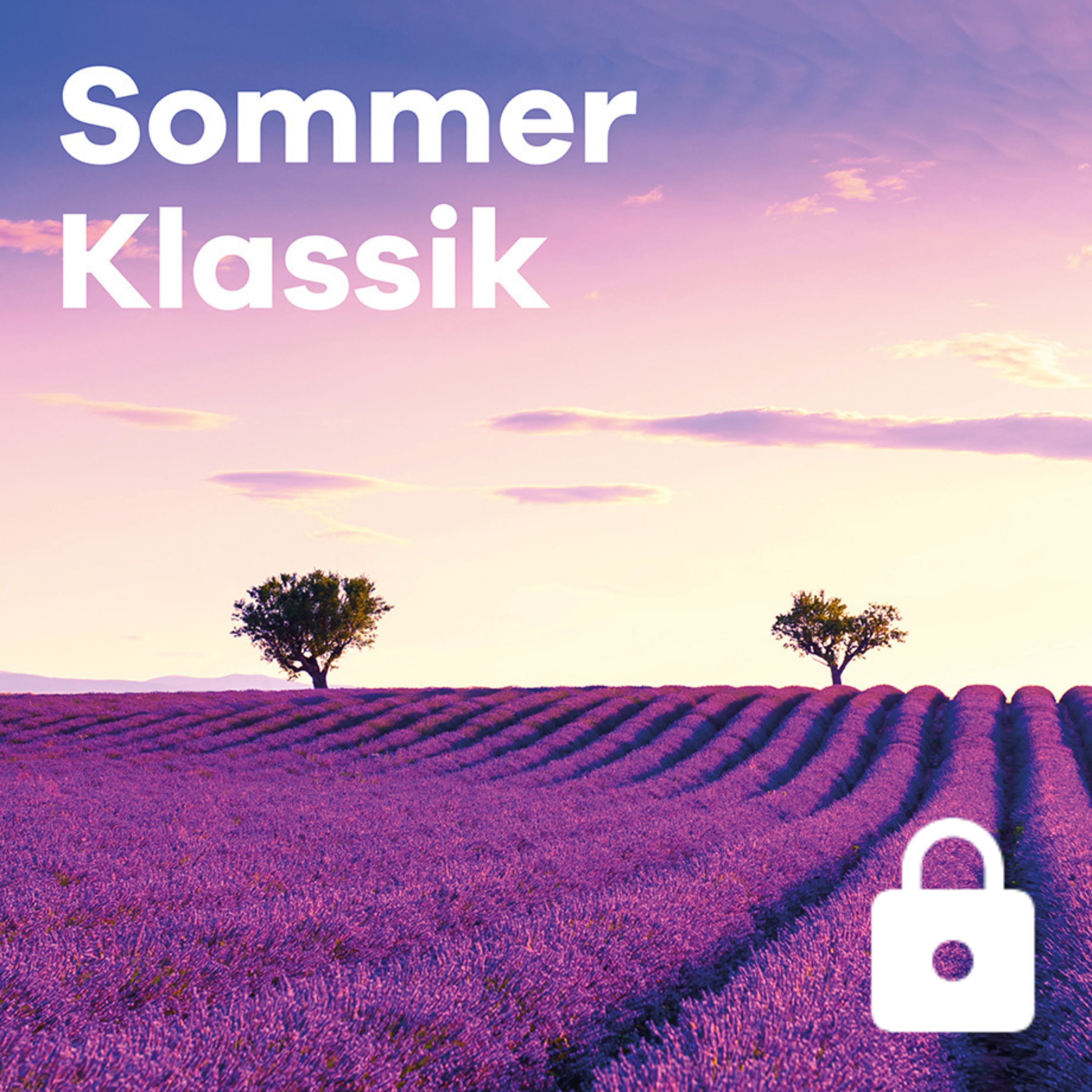 Sender Sommer Klassik, welches einen Lavendel-Feld zeigt