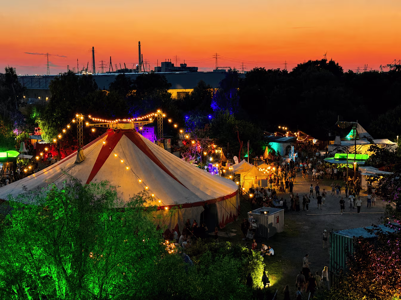 MS Dockville 2