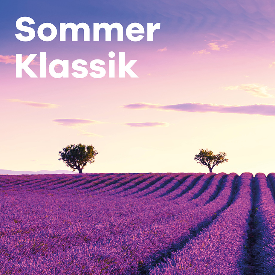 Klassik Radio Plus Sender "Sommer Klassik" mit einem Lavendel-Feld bei Sonnenuntergang.