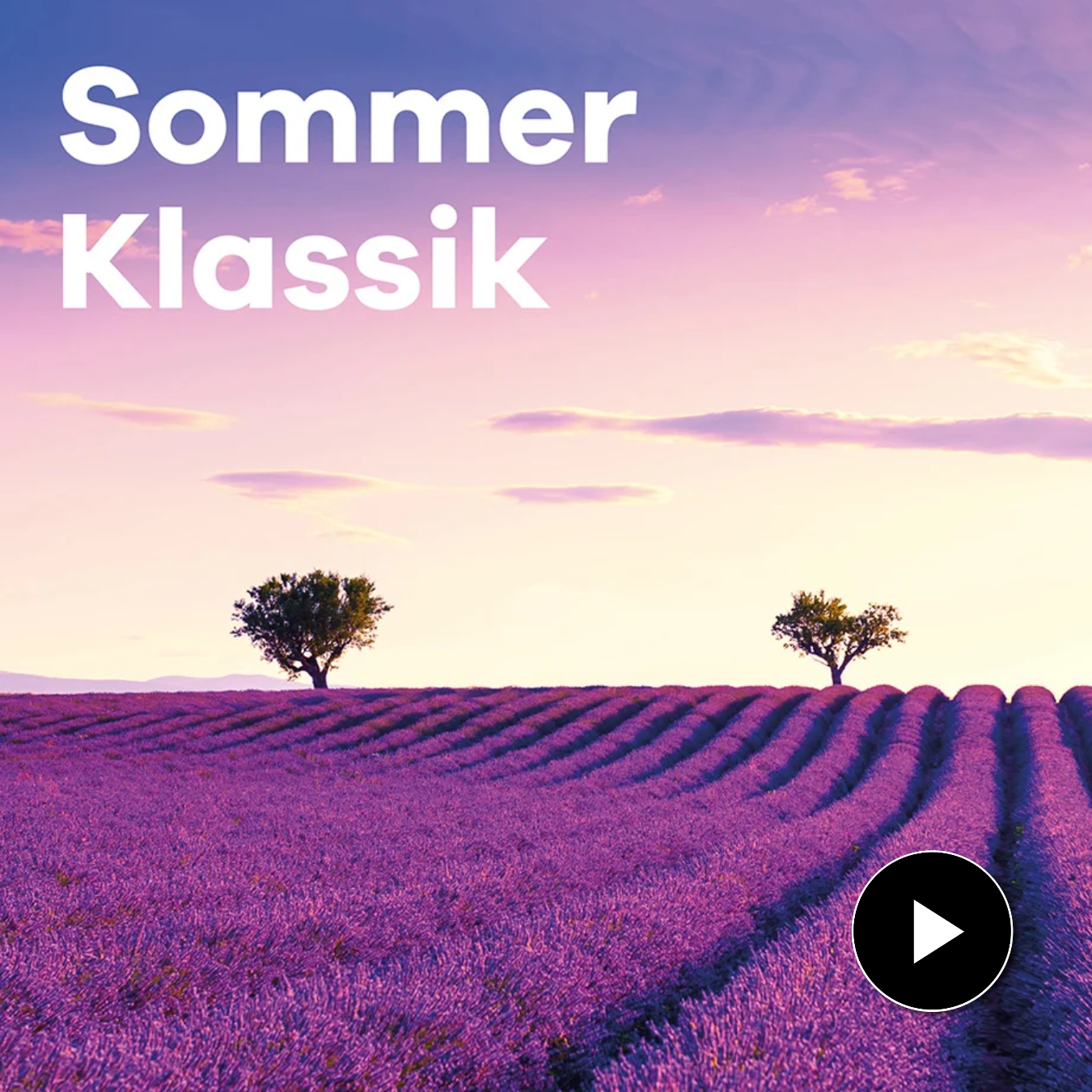 Klassik Radio Plus Sender "Sommer Klassik" mit einem Lavendel-Feld bei Sonnenuntergang.