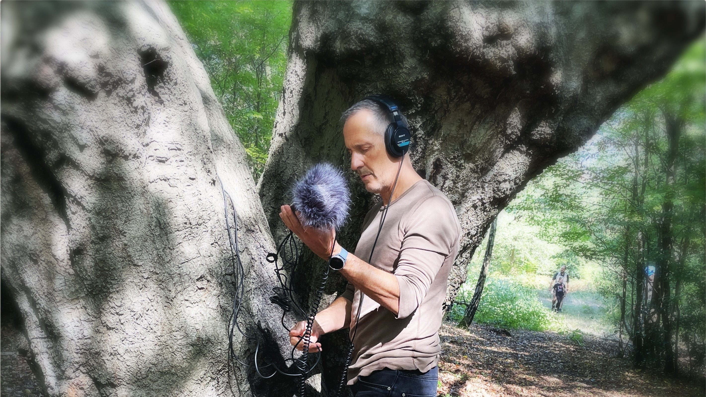 Graham Fitkin hört einen Baum ab