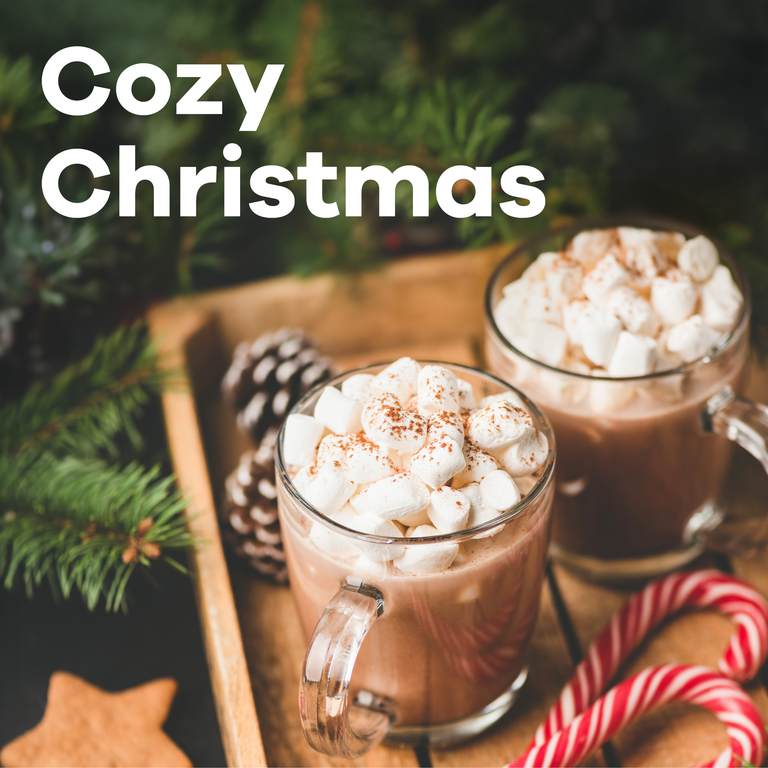 Zwei Tassen Kakao mit Marshmallows, Zuckerstangen und Tannenzweigen auf weihnachtlichem Tablett