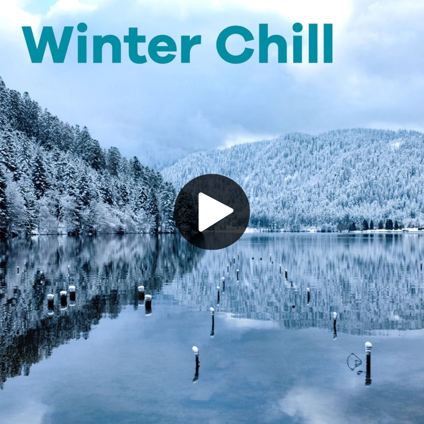 Klassik Radio Plus Sender "Winter Chill" mit einem verschneiten Wald im Winter