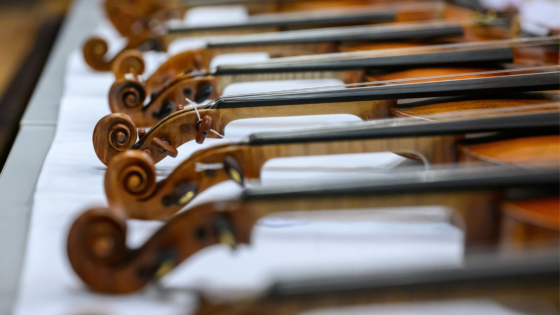 Deutsche Stiftung Musikleben 1