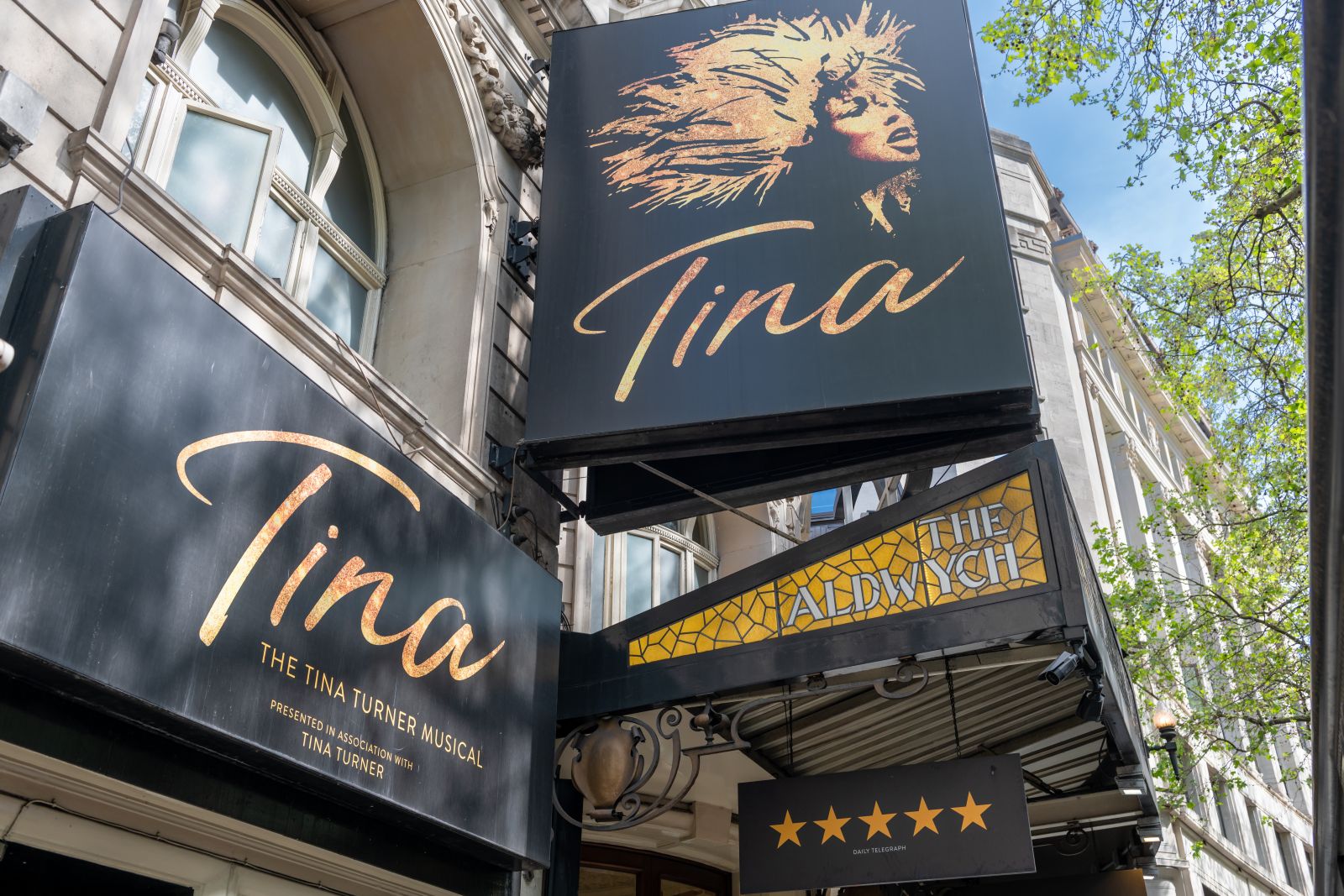 Tina Turner Musical