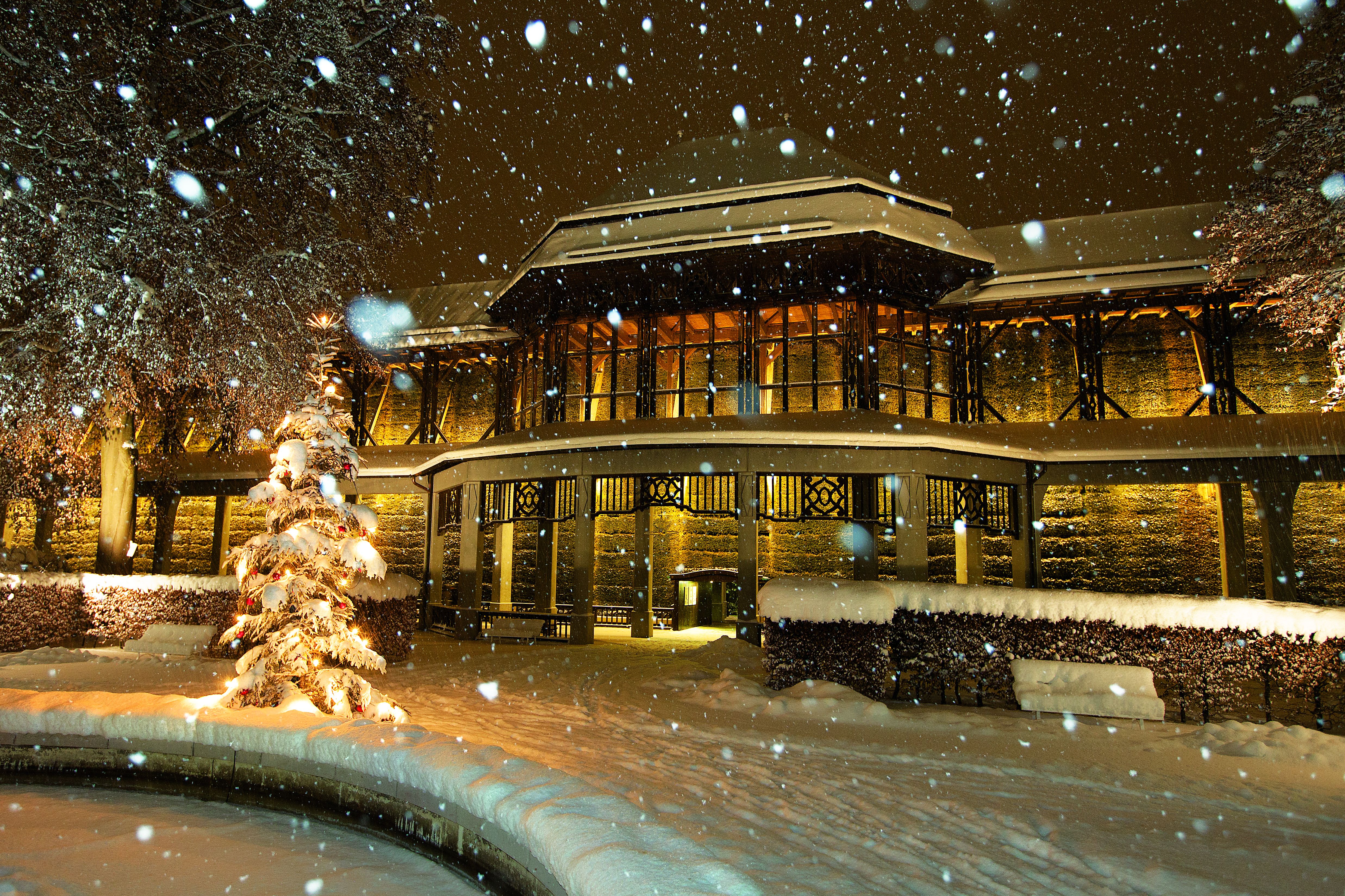 Kurgarten Winter-Plenk