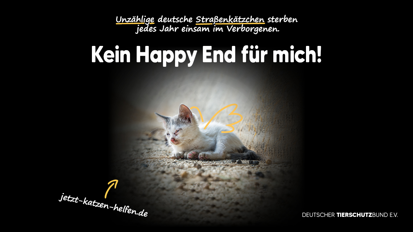Deutscher Tierschutzbund 3