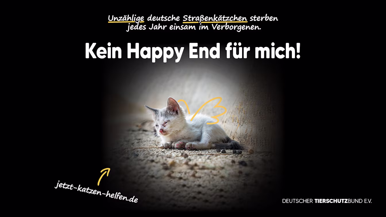 Deutscher Tierschutzbund 3